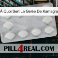 À Quoi Sert La Gelée De Kamagra 16